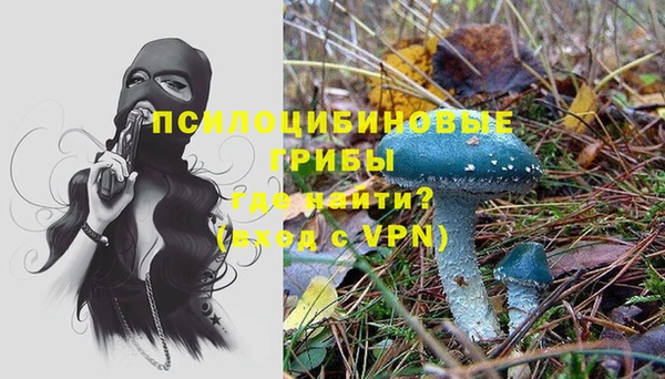 бошки Абдулино