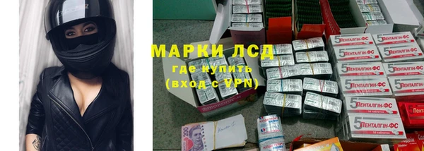 хмурый Покров